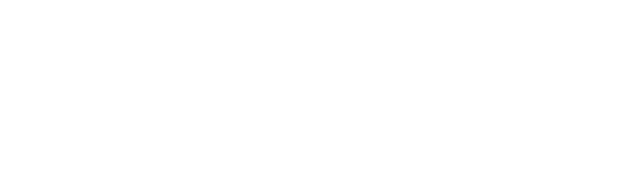 Logo Watchguard